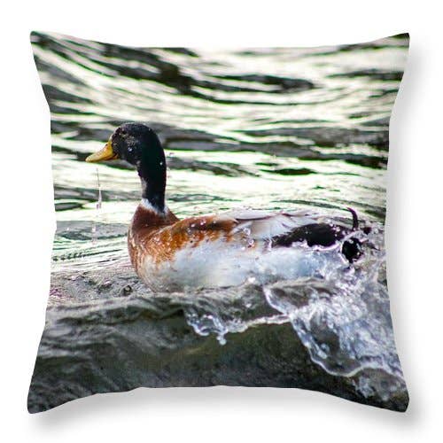 COUSSIN « THE DUCK SWIMMING » pour la vente par sorayadapuzzostore