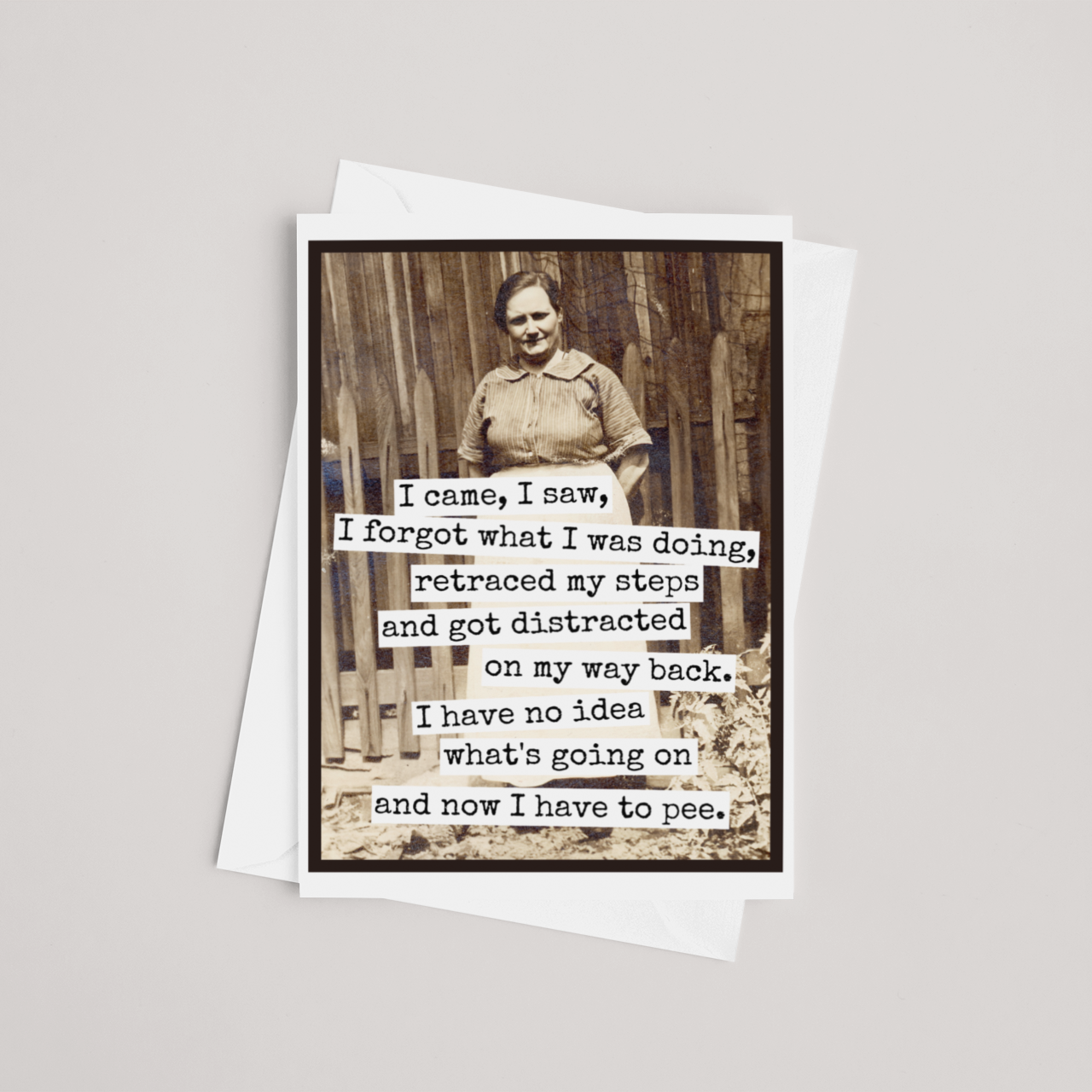 Raven's Rest Studio - Wholesale Birthday Card - Funny Greeting Card. I Came, I Saw, I Forgot What I Was Doin3