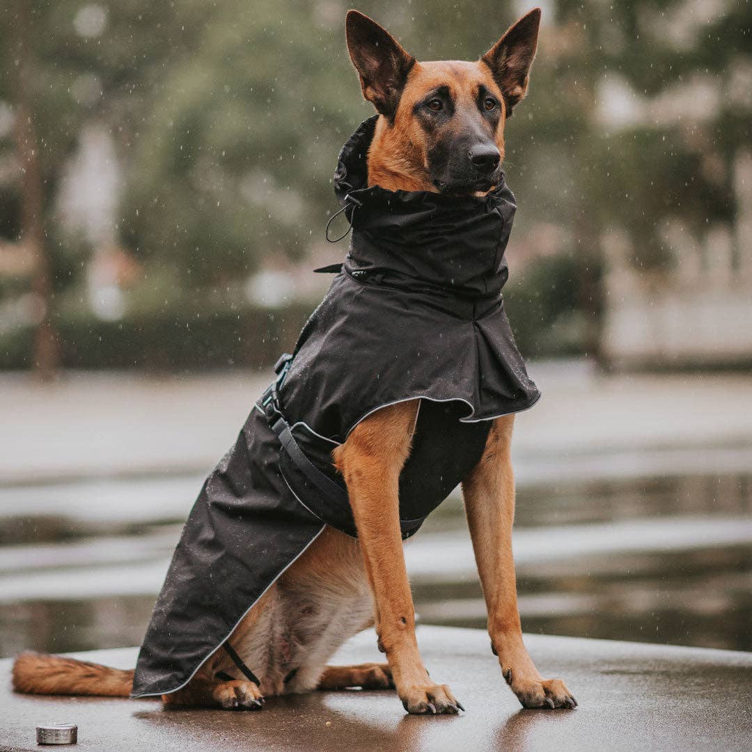 Stylish Hound - Wholesale Pet Raincoat - Dog - Black Raincoat2