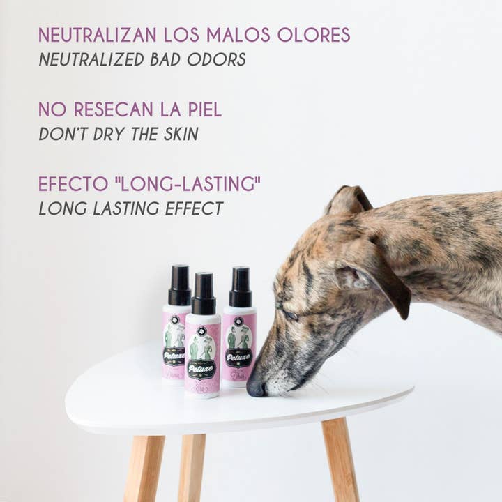 Valquer Laboratorios - Wholesale Pet Grooming Aid - Dog - Petuxe Perfume Rocky 100 ml 100 ml3