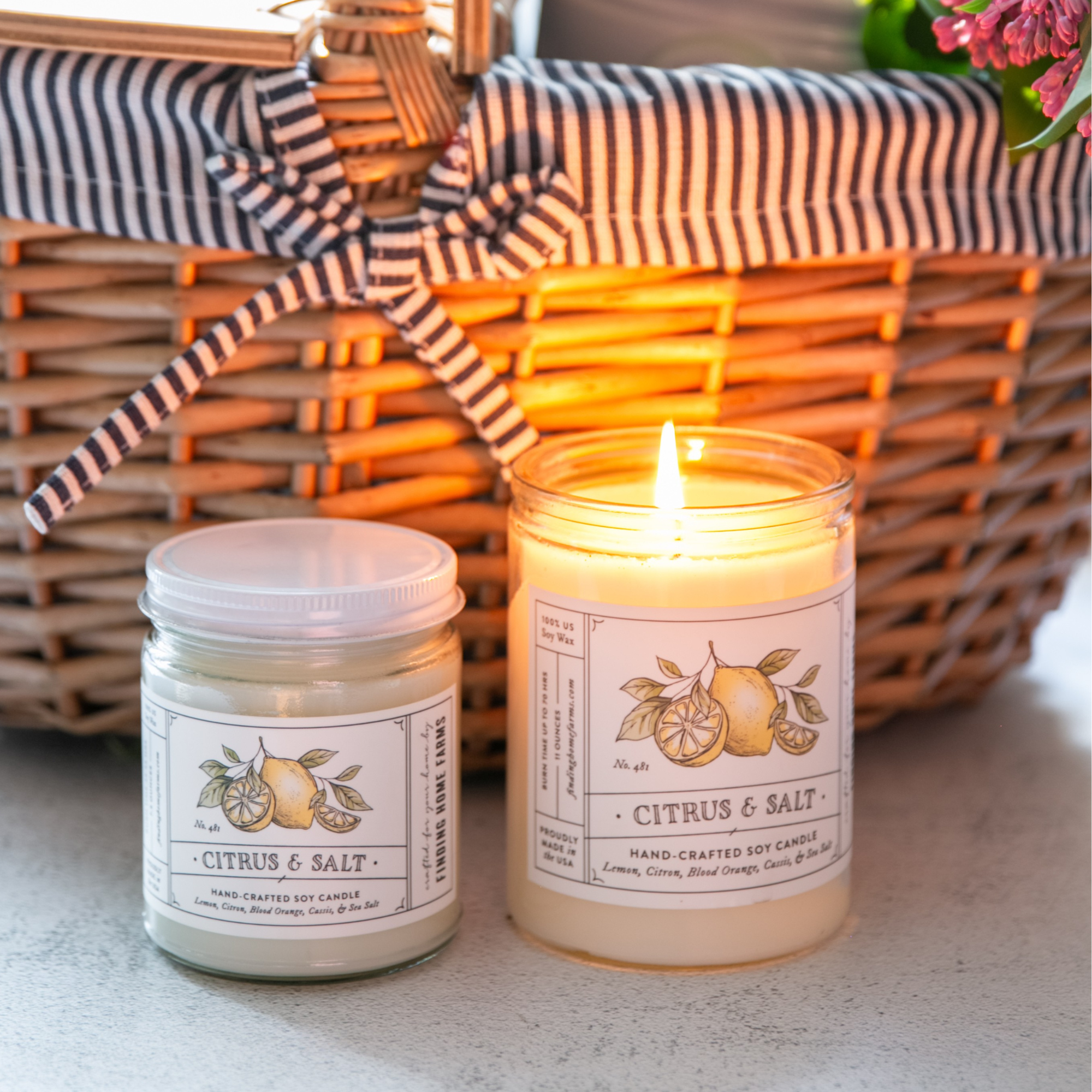 Finding Home Farms - Wholesale Jar/Filled Candle - Soy Candle, Citrus & Salt, Fresh Scent2