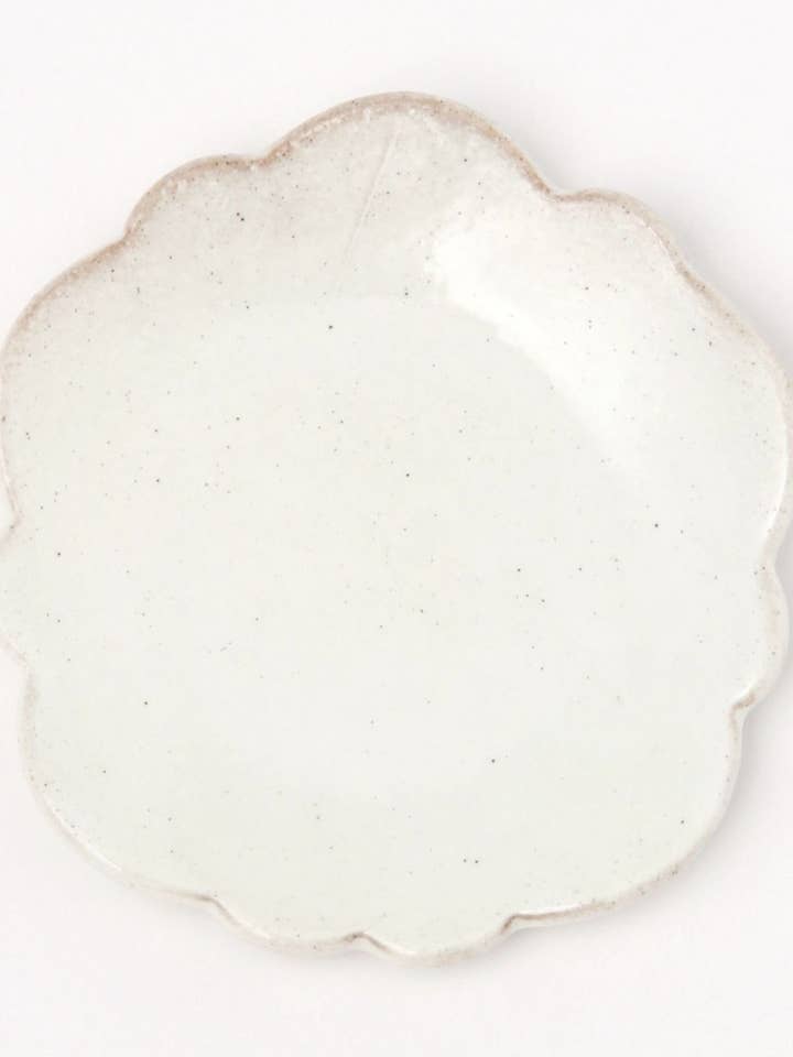 Plato pequeño Tatara-Zukuri Morning Glory para venta al por mayor de LAKOLE