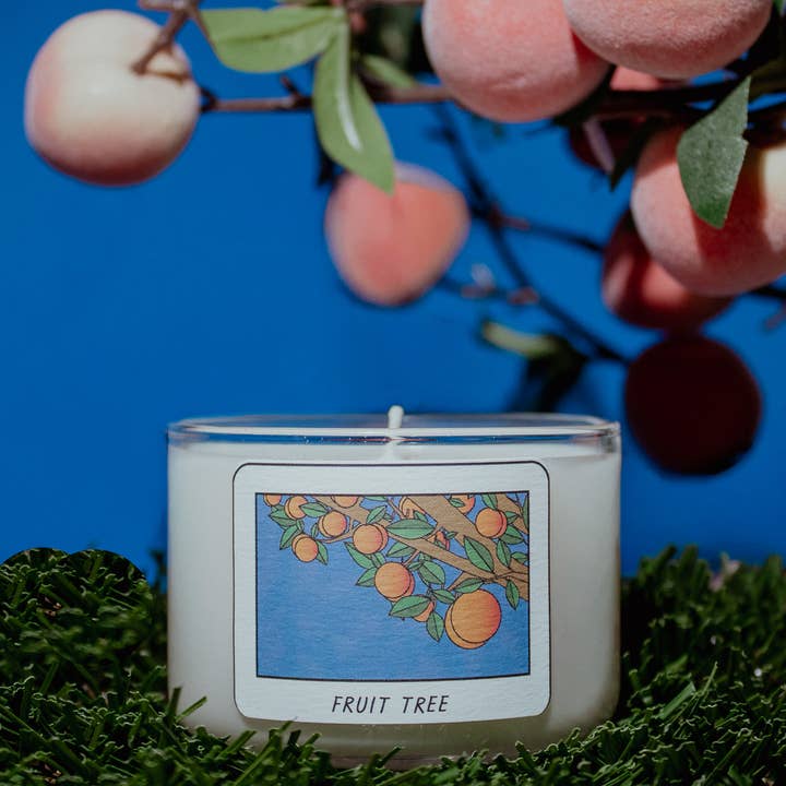 Fruit Tree / Apricot Mini Candle / Latina + Midwest Inspired for wholesale by Fresa Creative