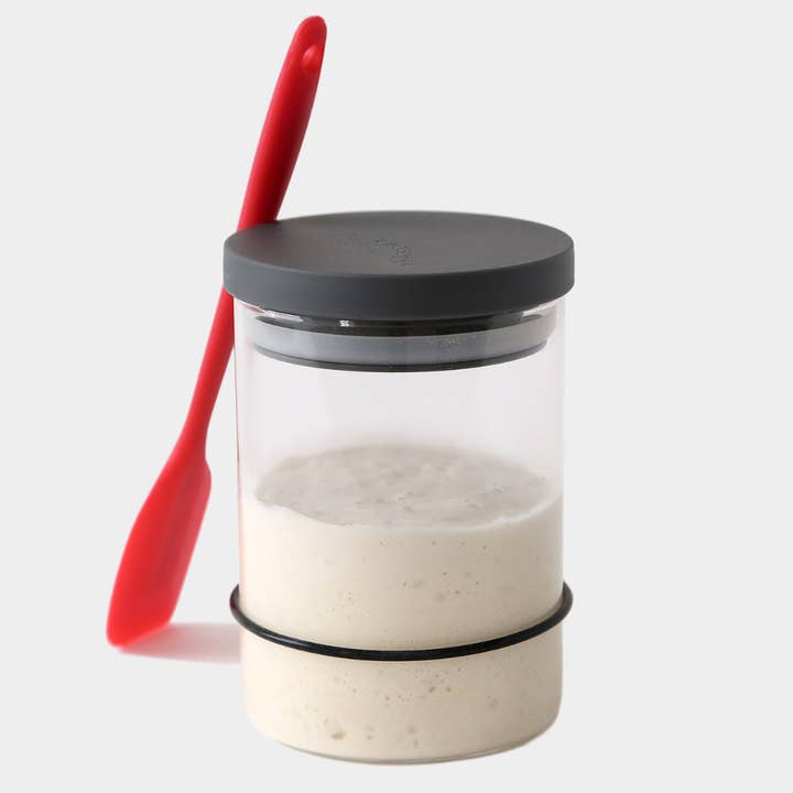 Breadtopia - Wholesale DIY Food Kit - Breadtopia Sourdough Starter Kit1
