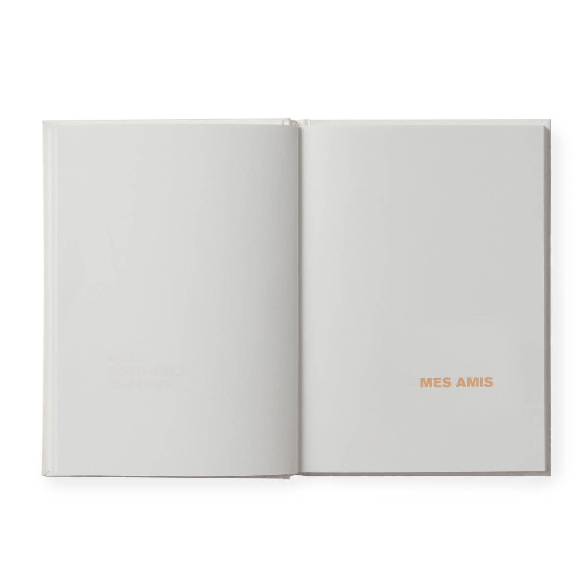 Supereditions - Wholesale Coloring & Activity Book - Adult - Book to illustrate - me4