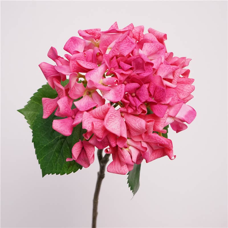 Angel Isabella - Wholesale Artificial Flowers - 24"Lux Designer-Grade Ultra-Realistic Hydrangea–(7"Bloom)4