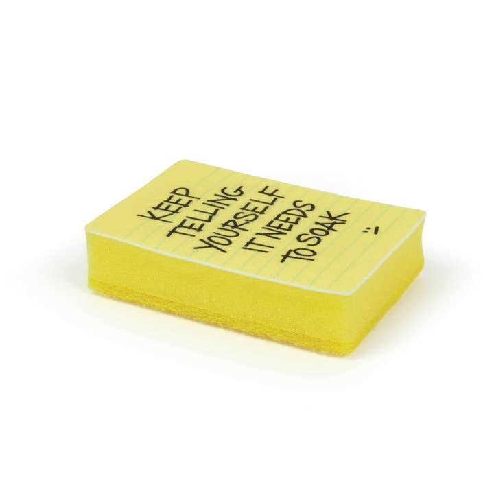 Fred & Friends - Wholesale Cleaning Sponge - Sponges - CLEAN CONSCIENCE - Passive Aggressive Notes5