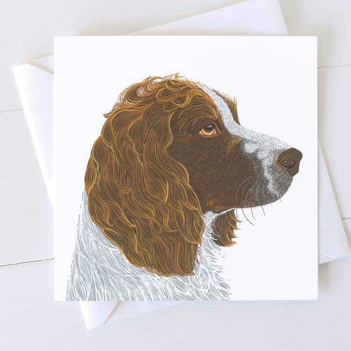 Carte pour chien Springer Spaniel pour la vente par Bird the Artist
