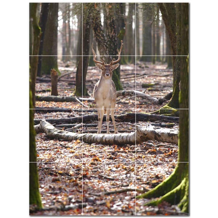 Carrelage en céramique Deer, carrelage mural en céramique PT500460 pour la vente par Picture-Tiles.com