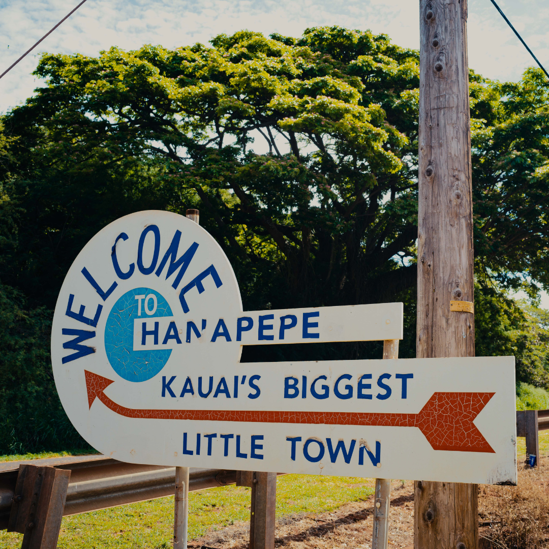 Aloha Spice Company - Vente Sel - Sachet à support vertical de 2,11 oz à l'ail fumé et au sel de mer hawaïen Kiawe6