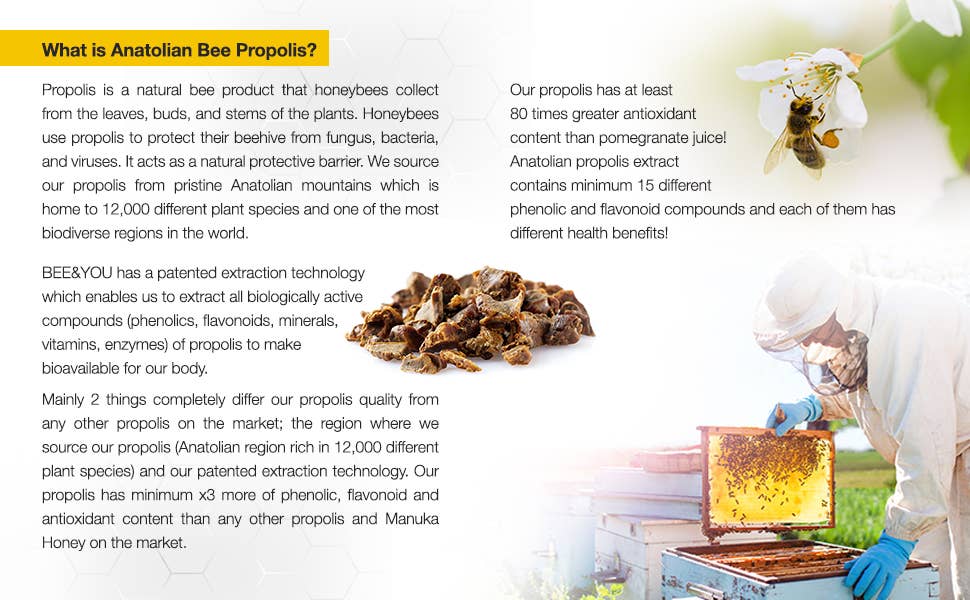 BEE&YOU – Engroshandel Kosttilskud og vitaminer – BEE&YOU tyggetabletter med royal jelly, bi-pollen og propolis10