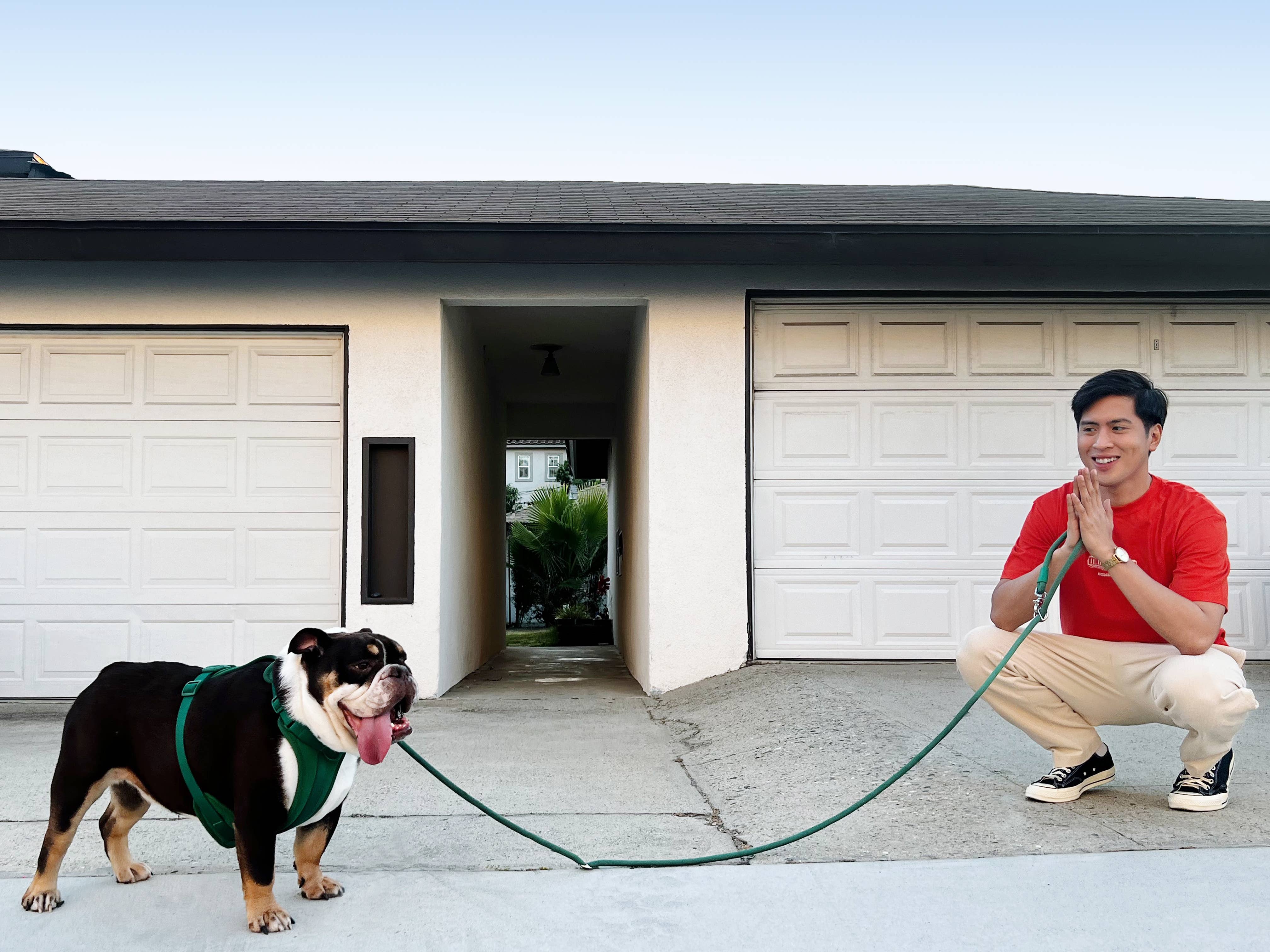 Come Here Buddy - Wholesale Pet Leash - Dog - Dog Leash Kismet Hands Free18