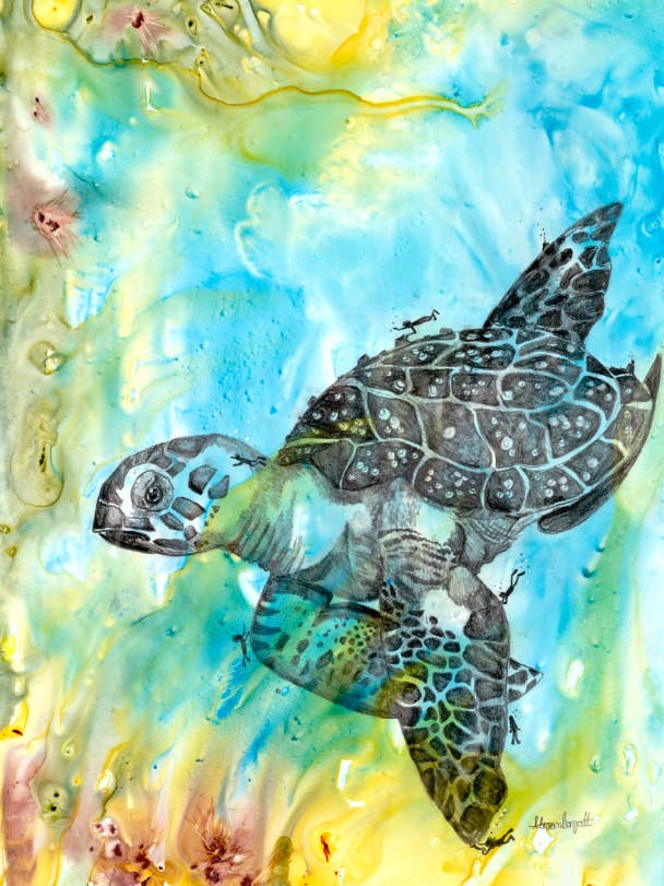 Zeesurfer (Volwassen Zeeschildpad) voor wholesale door Freckled Illustrations