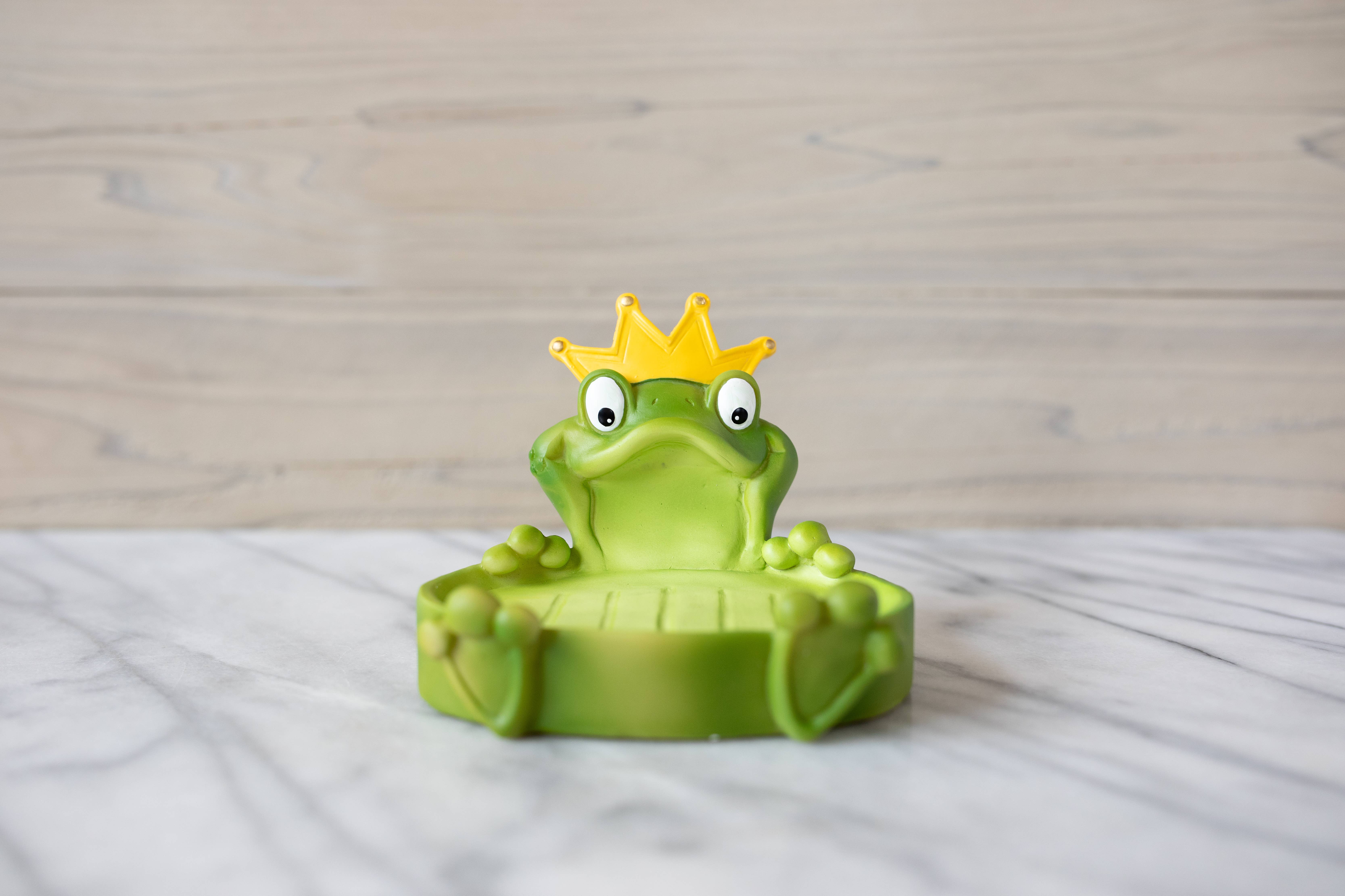 Borders Unlimited – wholesale Bath soap dish – Princess Camryn Frog Soap Dish / Trinket Holder