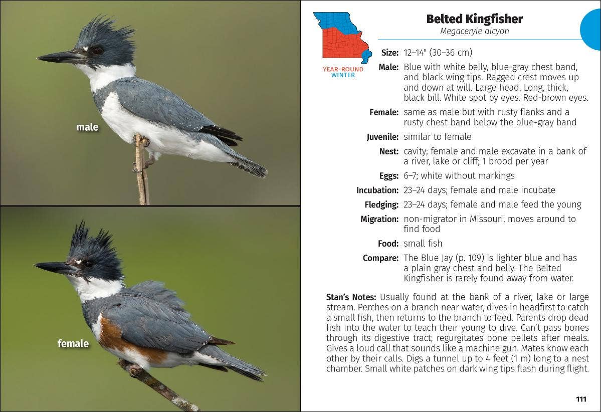 AdventureKEEN - Vente Nature et plein air - Guide de terrain sur les oiseaux du Missouri 2e3