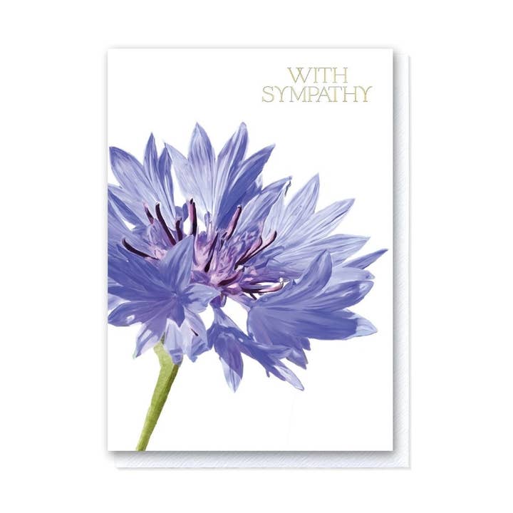 Cornflower With Sympathy for wholesale by Grace Jackson Design