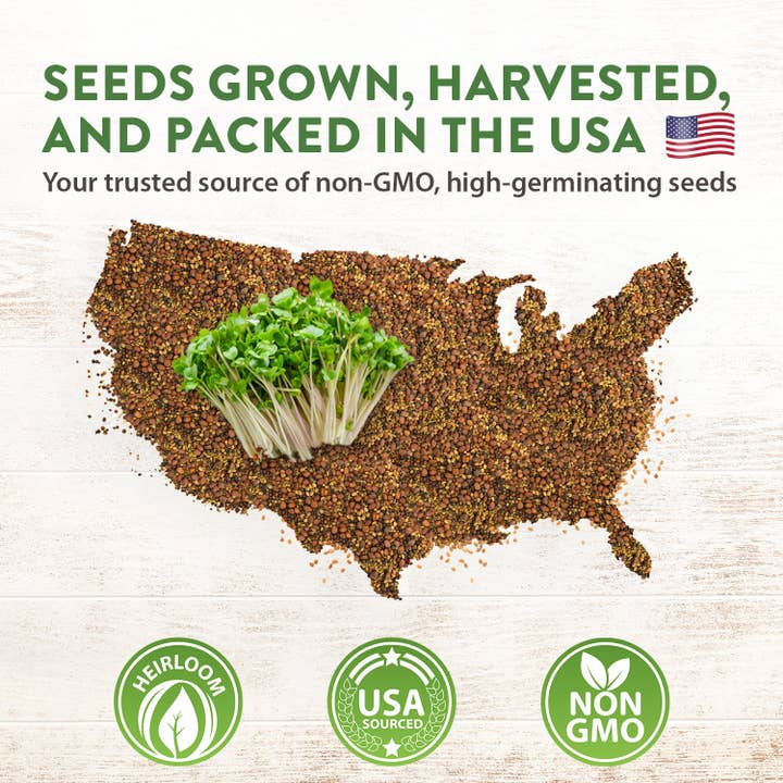 Homegrown Garden - Wholesale Plant Seeds - Sprouts and Microgreens Seeds Bulk Mix (16oz)6