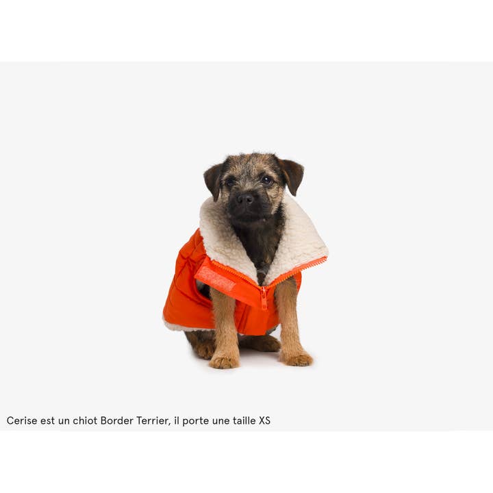 French Bandit - Wholesale Pet Coat - Dog - Thick dog jacket9