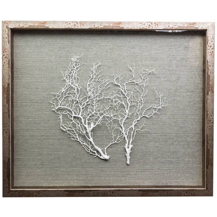 Boîte à ombres Sealife, bleu-gris/blanc pour la vente par Jamie Dietrich Designs