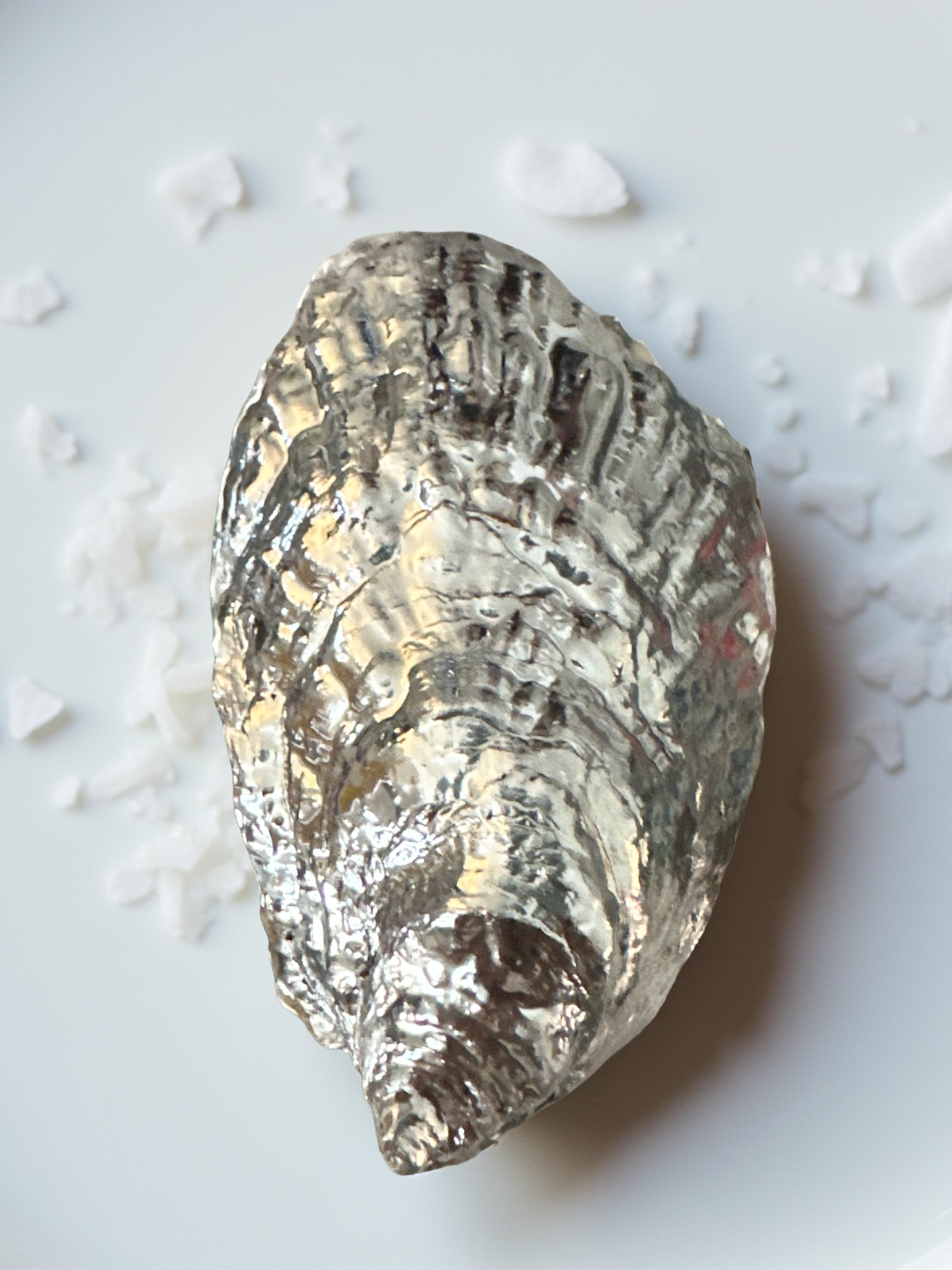 Shell Yeah By Jaks LLC - Wholesale Jewellery dish - Golden Coast Oyster Shell Jewelry Tray – Gold Rim4