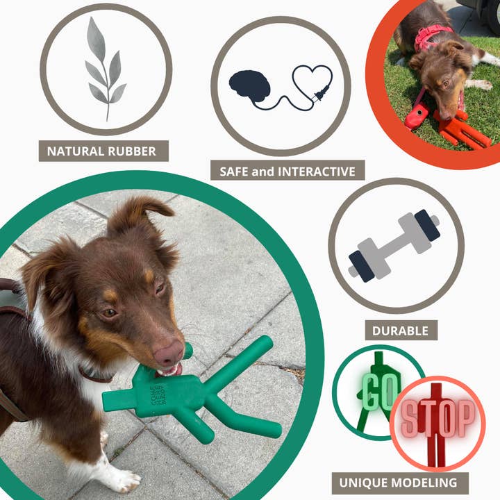 Come Here Buddy - Wholesale Pet Chew Toy - Dog - Dog Chew Toy - Stop & Go5