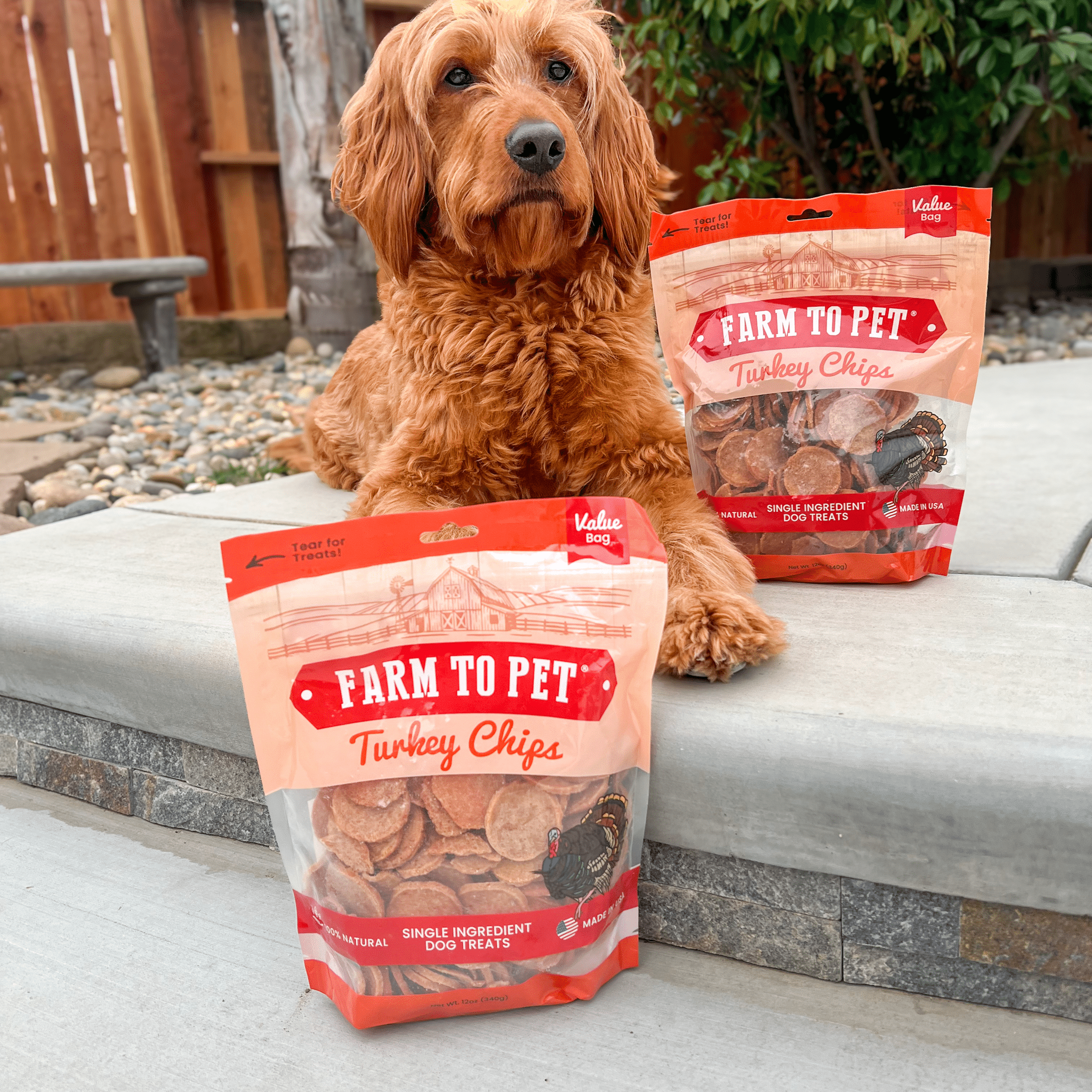Farm to Pet Healthy Treats for Dogs & Cats - Wholesale Pet Treats - Dog - Turkey Chips Dog Treats3