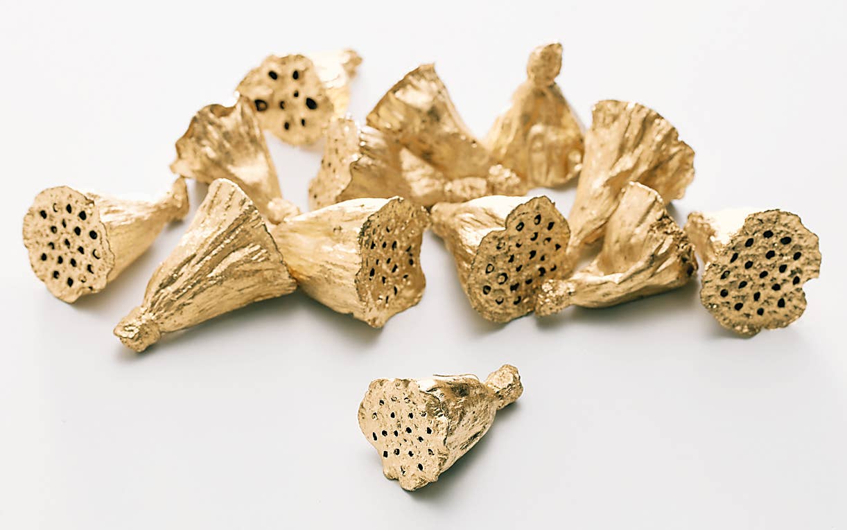 2626 Designs - Wholesale Dried/Pressed Flowers - Dried Preserved Mini Lotus 2cm |Realistic&Long-Lasting Decor1