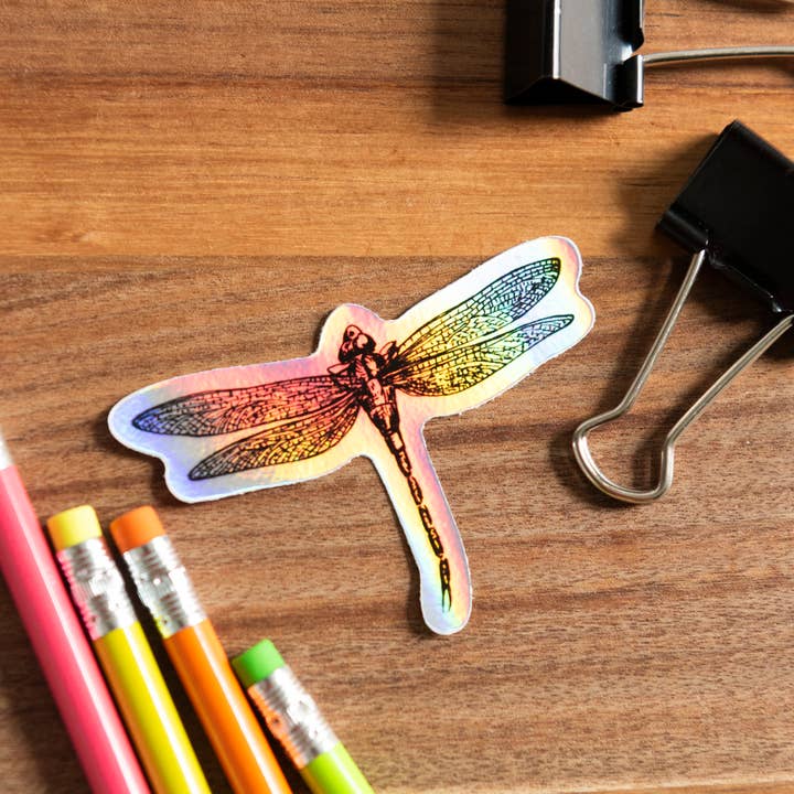 Pegatina de libélula, pegatina holográfica de vinilo, libélula para venta al por mayor de Alla Dickson Art