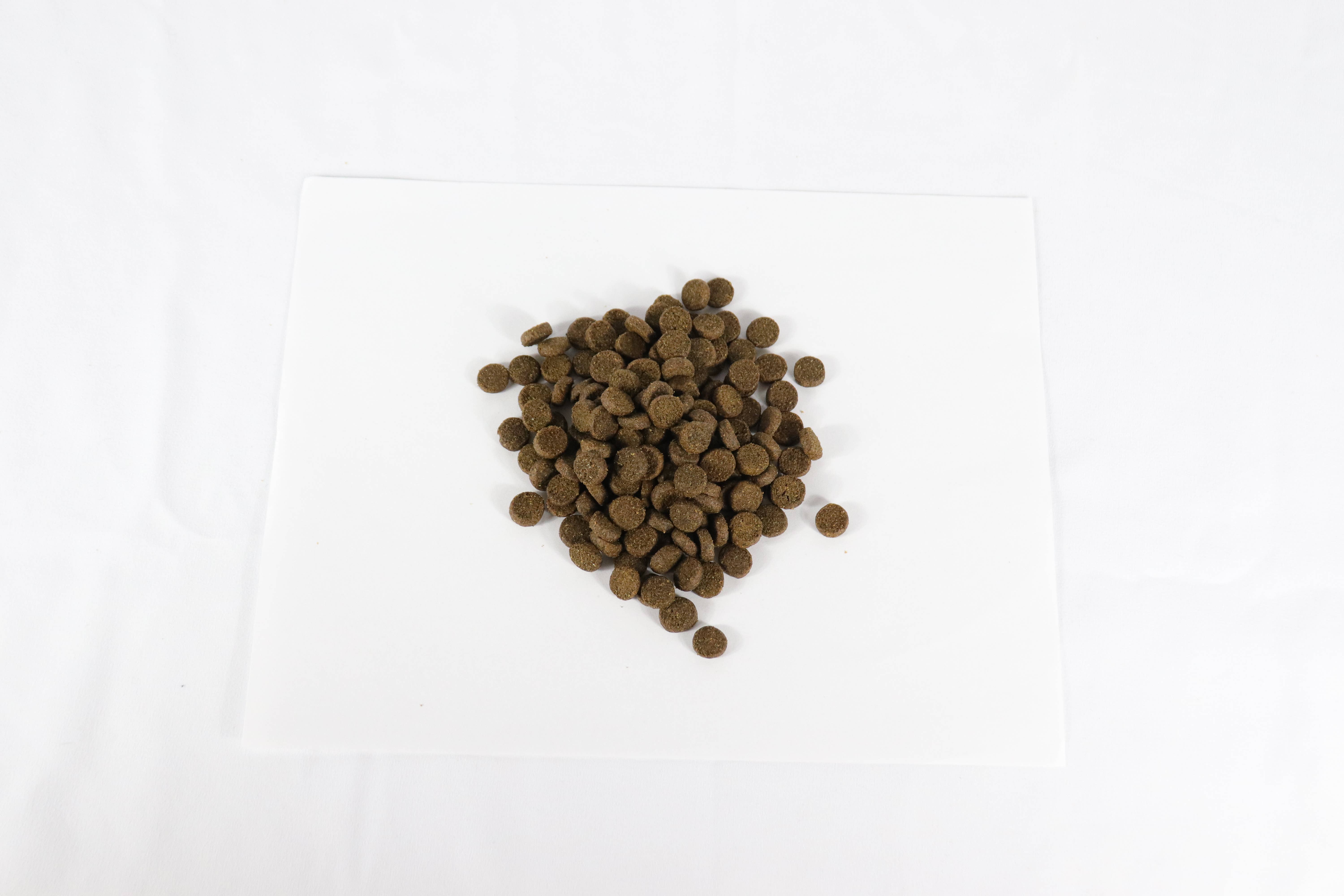 Canine Caviar - Wholesale Pet Food - Dog - Open Range Limited Ingredient Alkaline Entrée All Life 22lb4