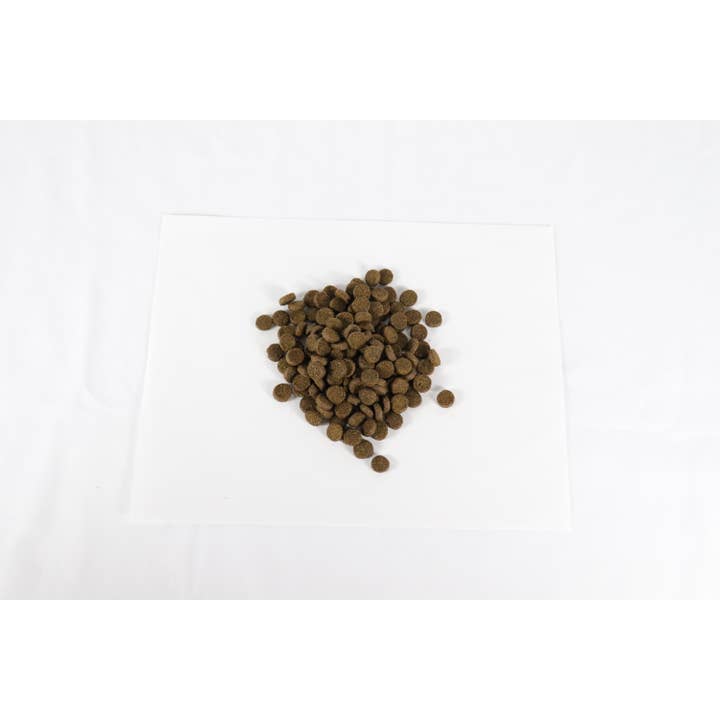 Canine Caviar - Wholesale Pet Food - Dog - Open Range Limited Ingredient Alkaline Entrée All Life 22lb4