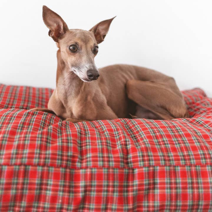 Basic Case Christmas Edition for wholesale by B de Bruno ES