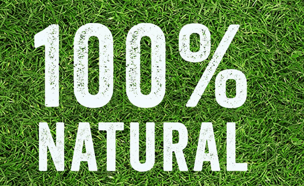 BeLoved, Natural Dog Grooming Products. - Wholesale Pet Supplement - Dog - Dog Rocks - Stop pet urine burns on grass...naturally!11
