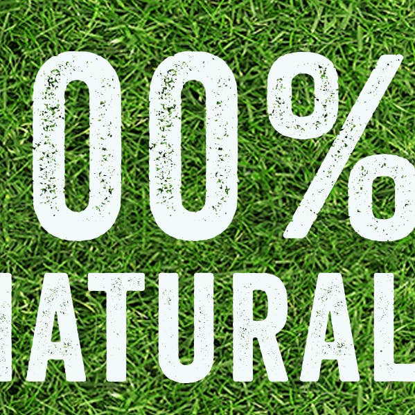 BeLoved, Natural Dog Grooming Products. - Wholesale Pet Supplement - Dog - Dog Rocks - Stop pet urine burns on grass...naturally!11