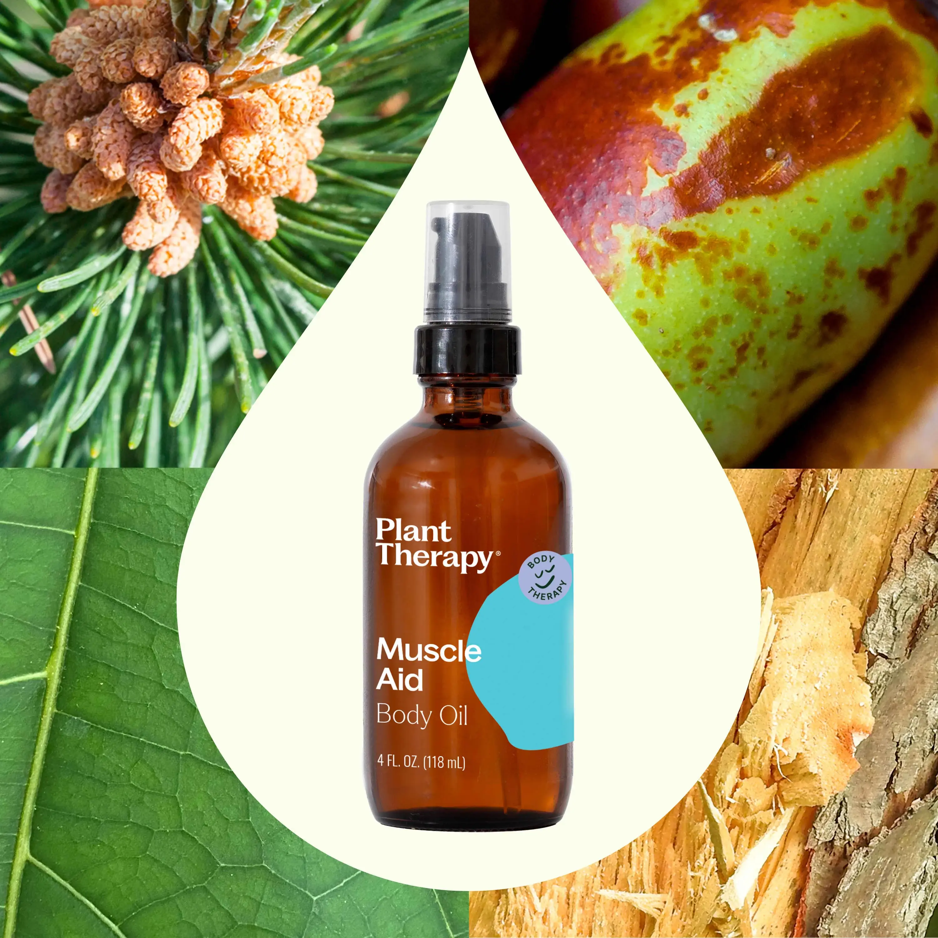 Plant Therapy - Wholesale Bath/Body Oil - Muscle Aid Body Oil 4 oz2