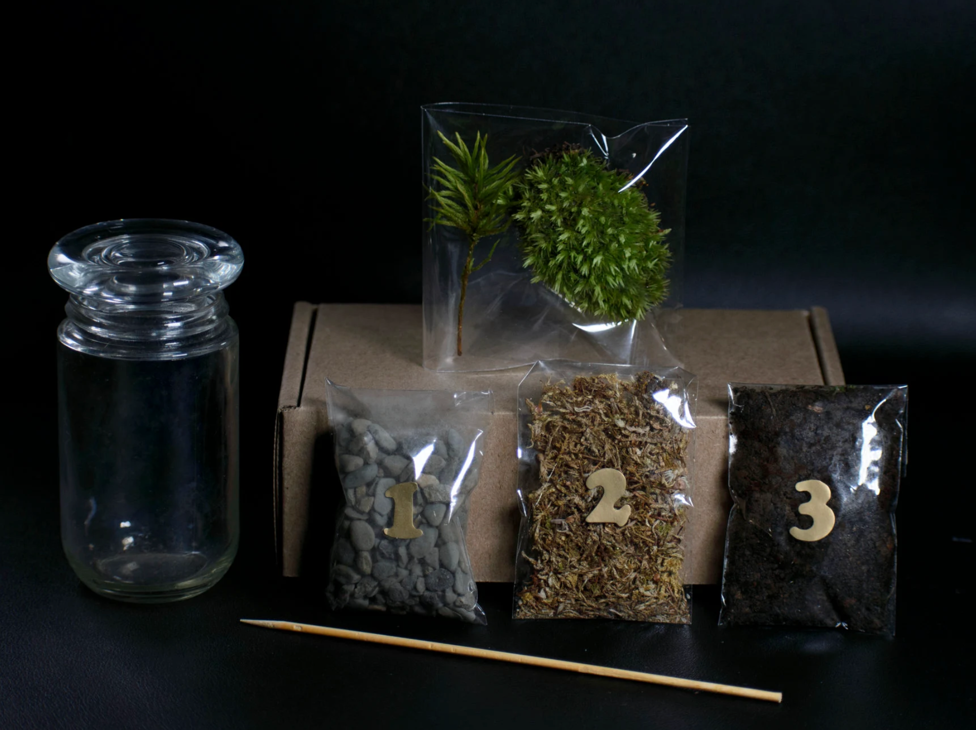 Moss & Stone Gardens - Vente Terrariums - Kit de Terrarium en Verre DIY – Écosystème de Mousse Vivante1