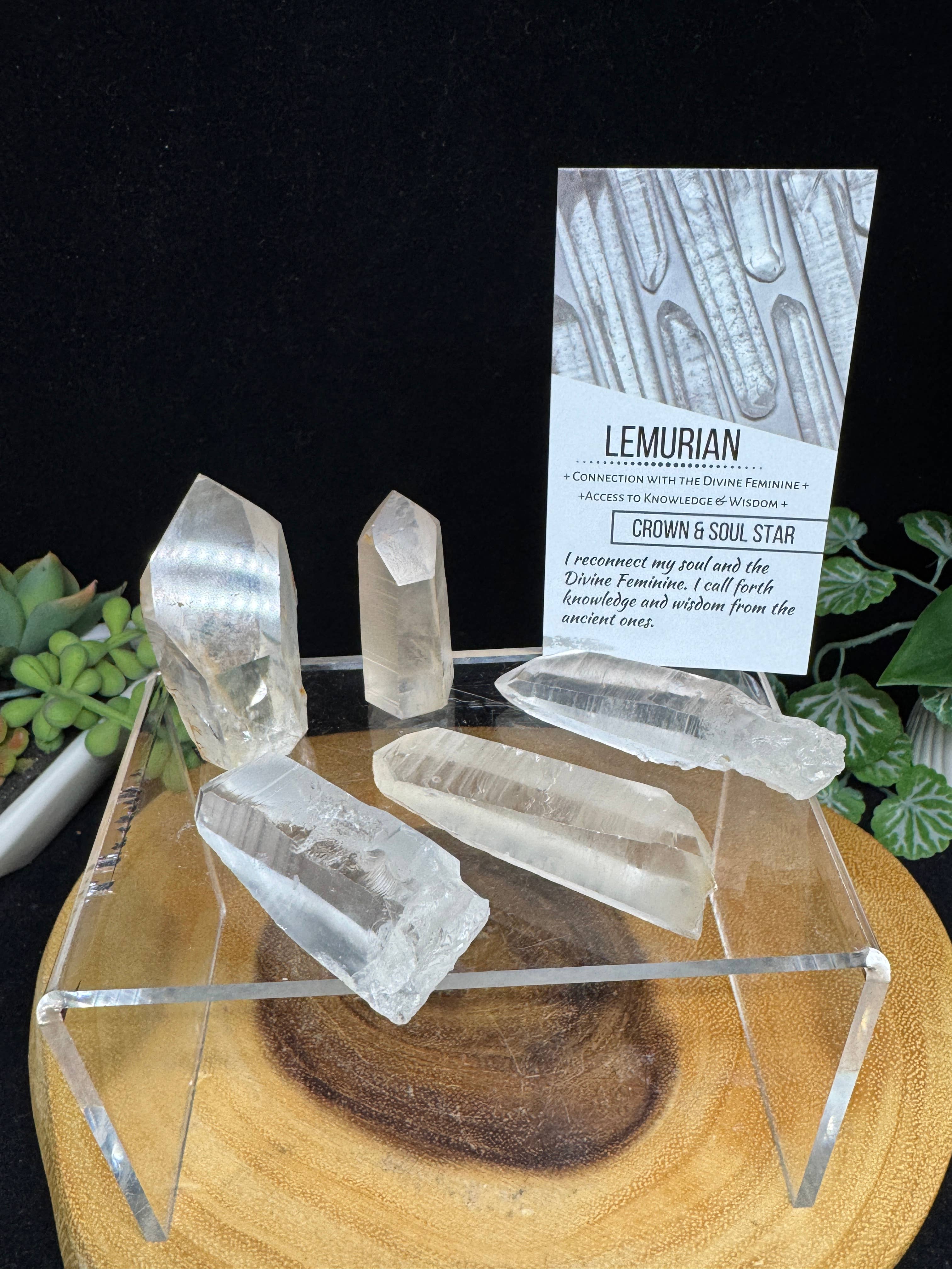 The 7 Directions - Vente Pierre et cristal de spiritualité - 5 pointes de quartz lémurien avec carte d'information G593