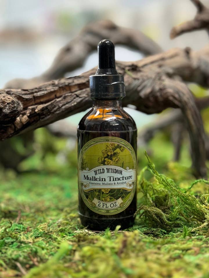 Mullein Tincture for wholesale by Wild Wisdom LLC