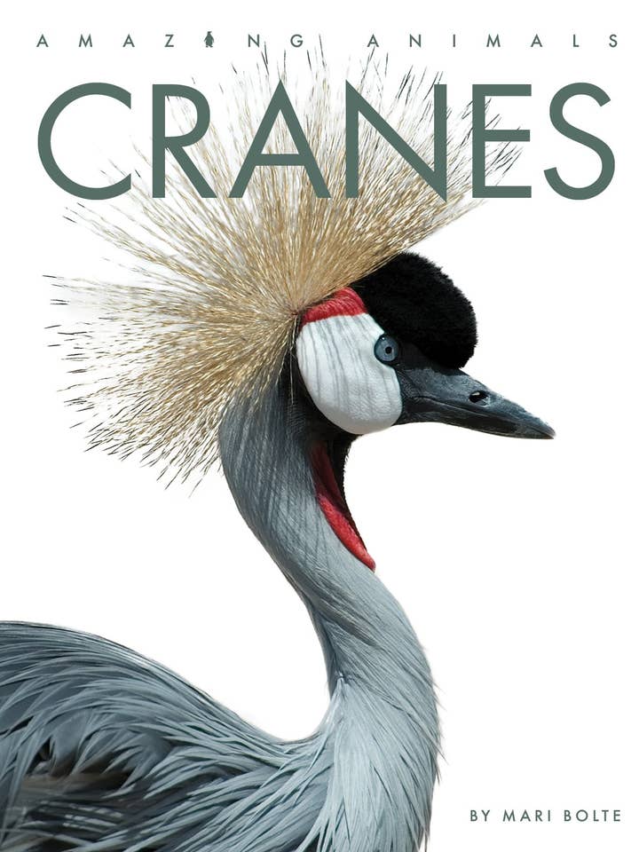 Cranes for wholesale by The Creative Company