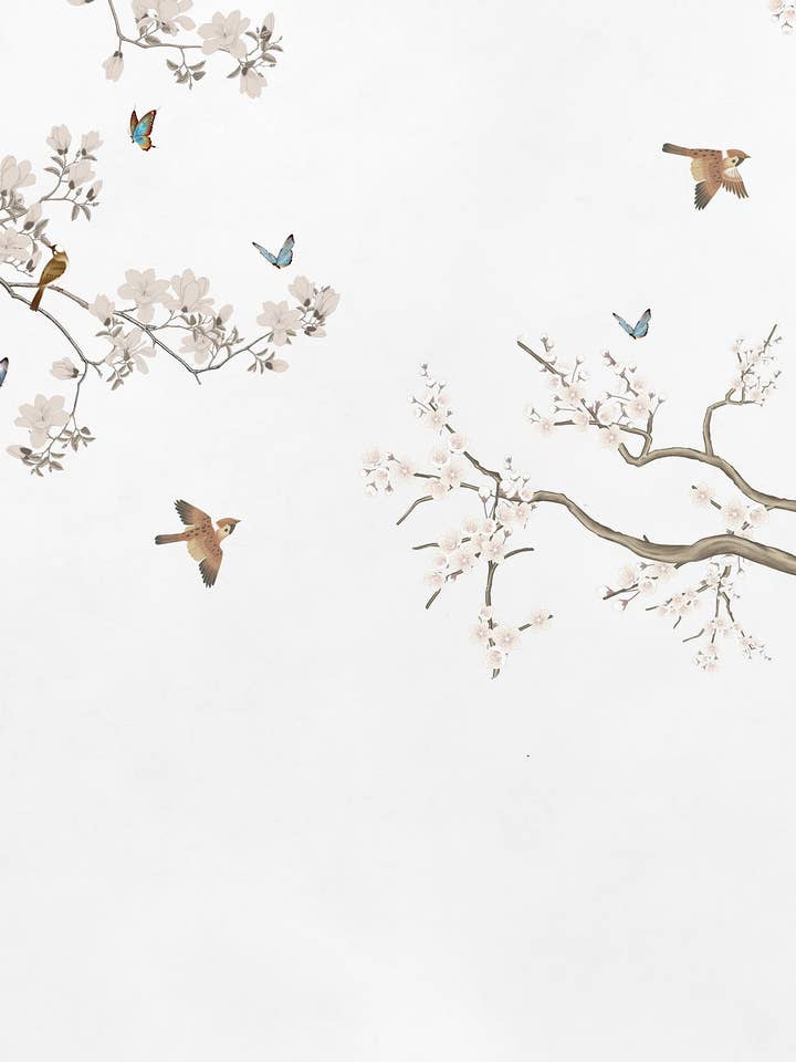 fasan för wholesale av PIPAPEL