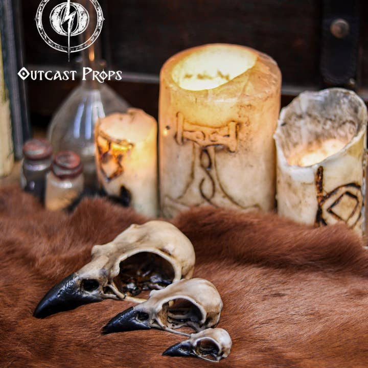 Réplique de crâne de corbeau en résine pour la vente par Outcast Props