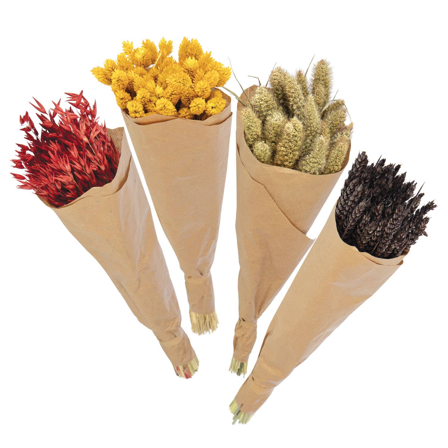 Willow Group - Wholesale Dried/Pressed Flowers - Fall Assorted Bunch Bouquets #24-10