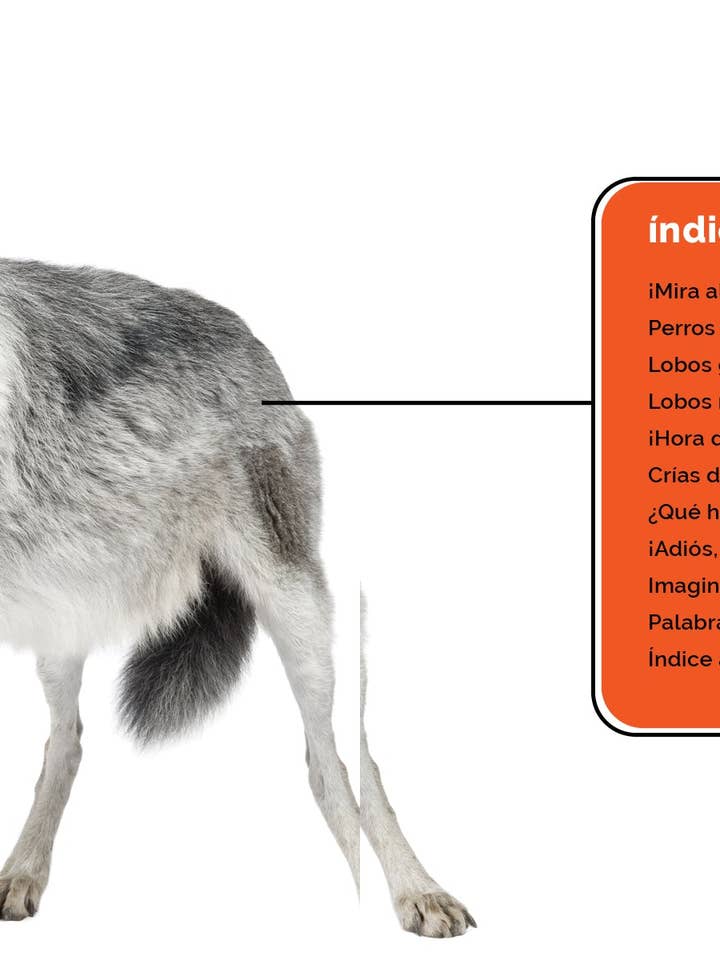 Los lobos for wholesale by The Creative Company