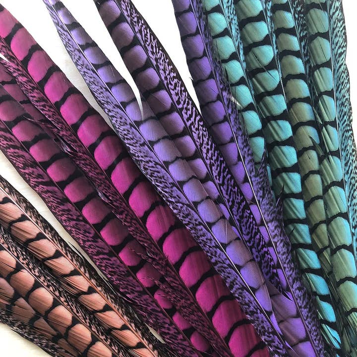 Zucker Feather Products – Großhandel Federn – Lady Amherst Fasanenschwänze, gefärbt, 1 Stück pro Packung, Fliederfarben4