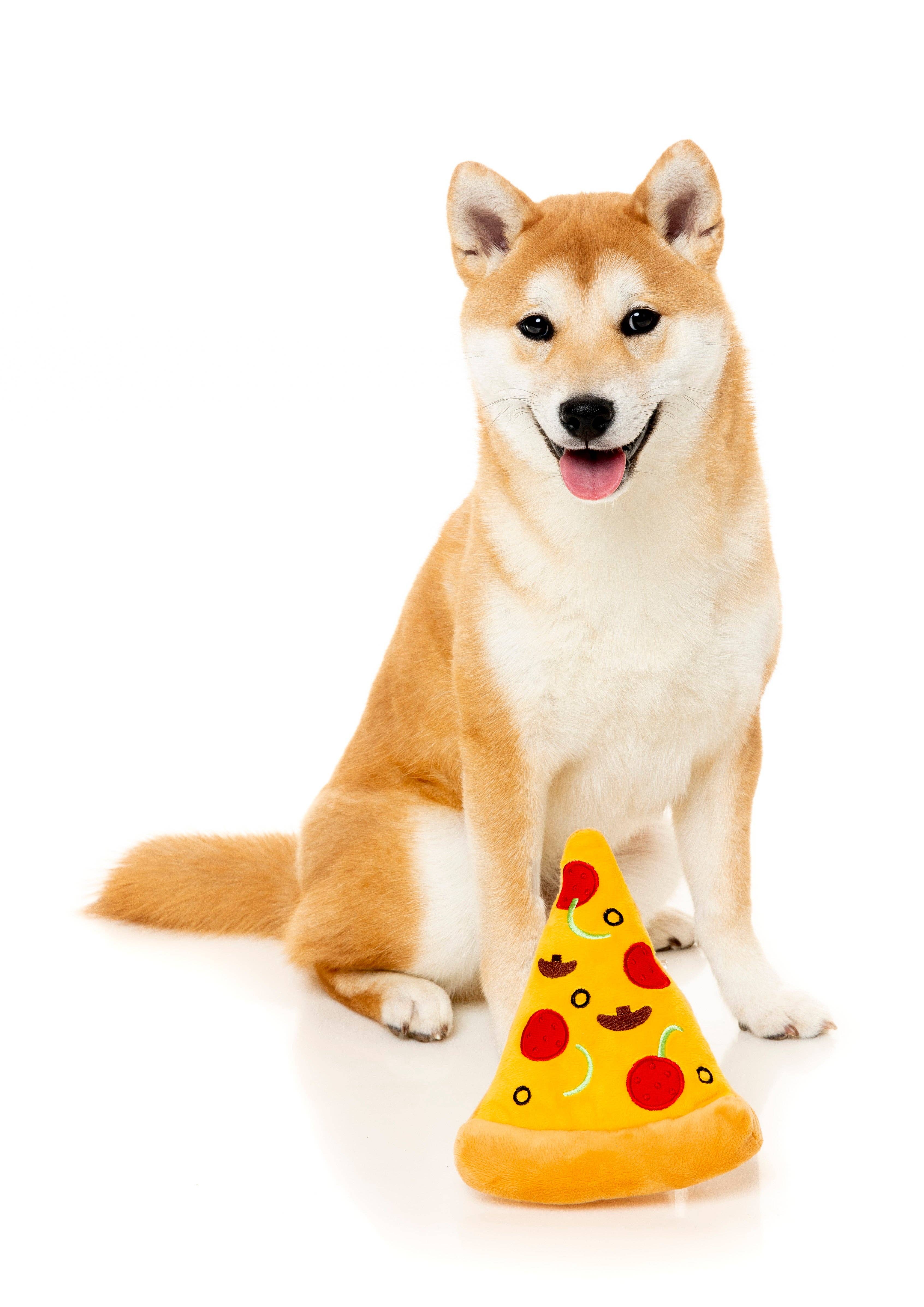 In Vogue Pets – wholesale Pet plush toy – Dog – Pizza Dog Toy1