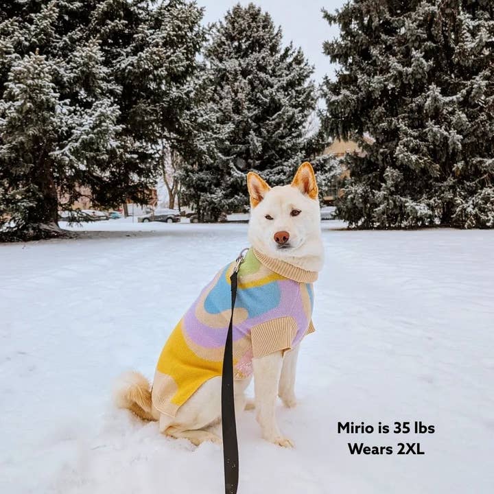 Sunbean - Wholesale Pet Sweater - Dog - Wavy Knitted Dog Sweater4