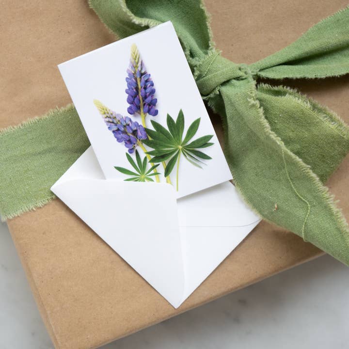 Bottle Branch - Wholesale Everyday Greeting Card - Enclosure card - Lupin3