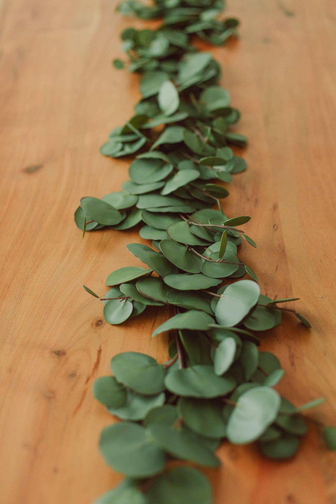 Eucalypt Co. - Wholesale Bunting/Garland - Almost-Real Eucalyptus Garland (artificial)2