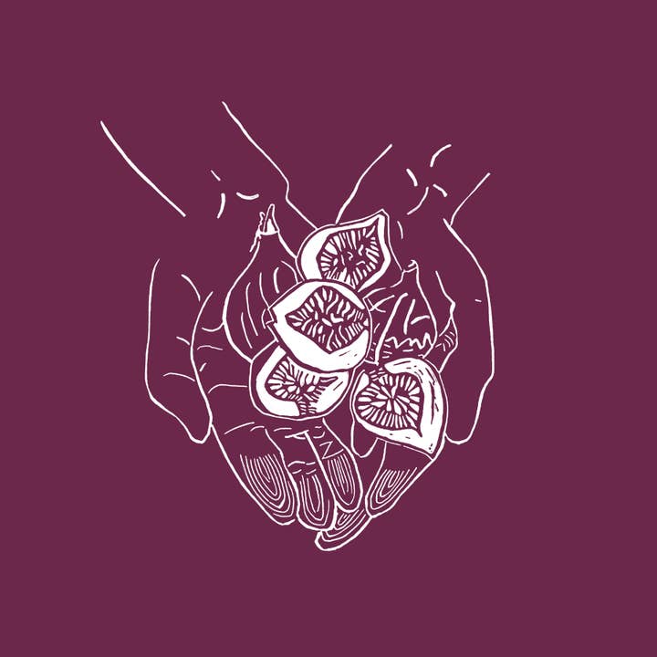 The Nourishment Collection: Figs for wholesale by Charlotte Holt Art