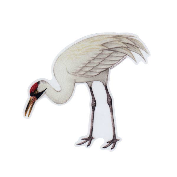 Kate Dolamore Art - Wholesale Sticker - Whooping Crane Standing Vinyl Bird Sticker