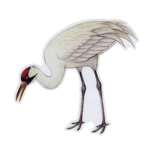 Whooping Crane Standing Vinyl Bird Sticker for wholesale by Kate Dolamore Art